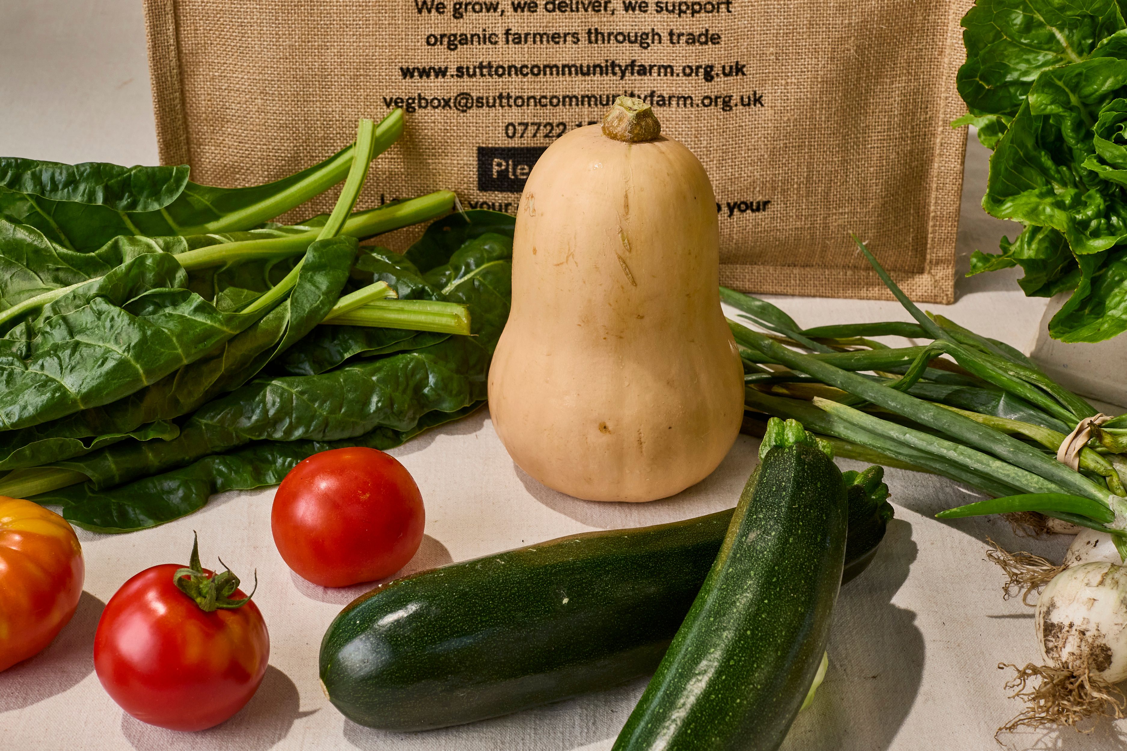 Image of Small Veg Box (no potatoes)