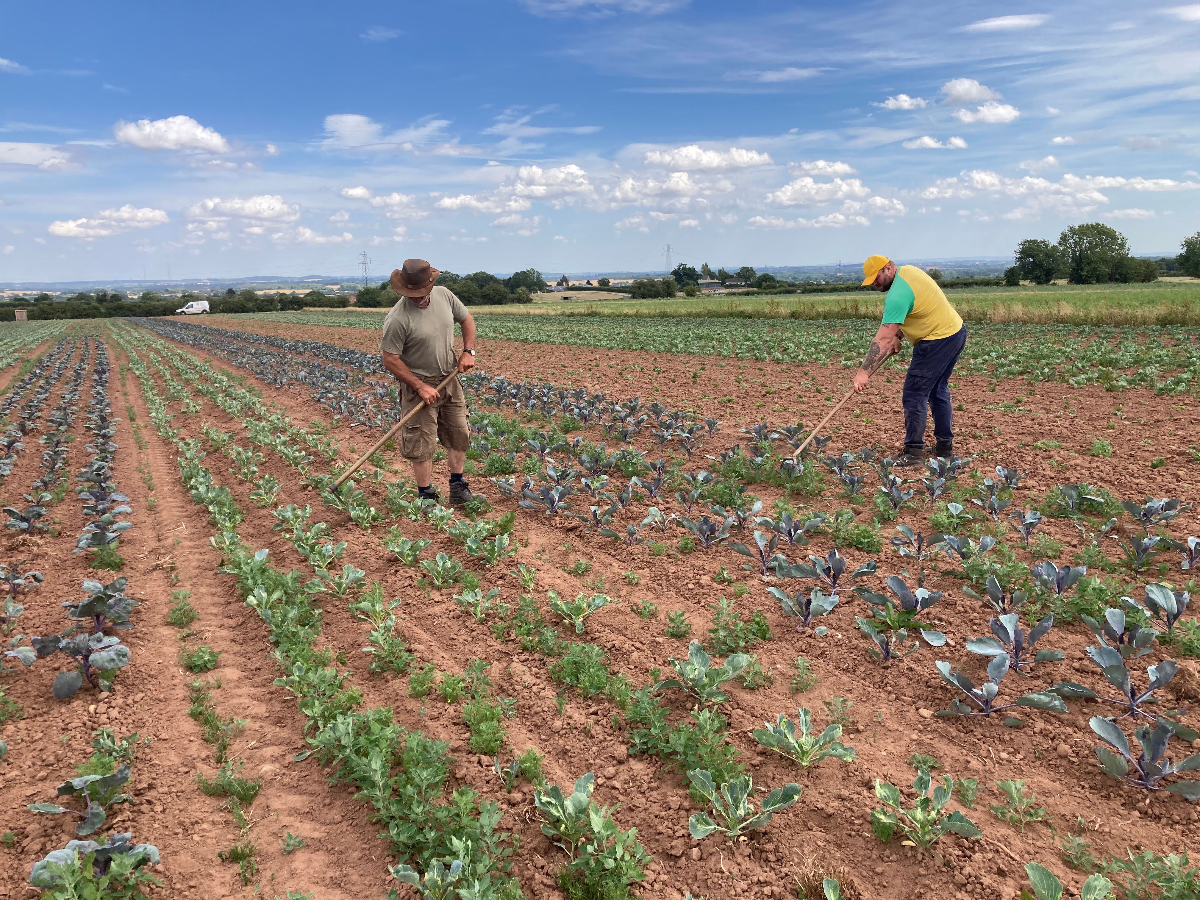 Image of Frequently asked questions