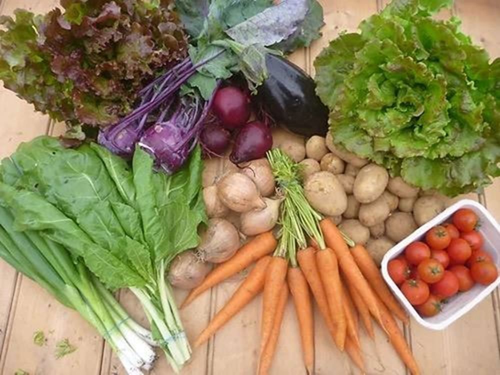 Image of Veg Box, Large