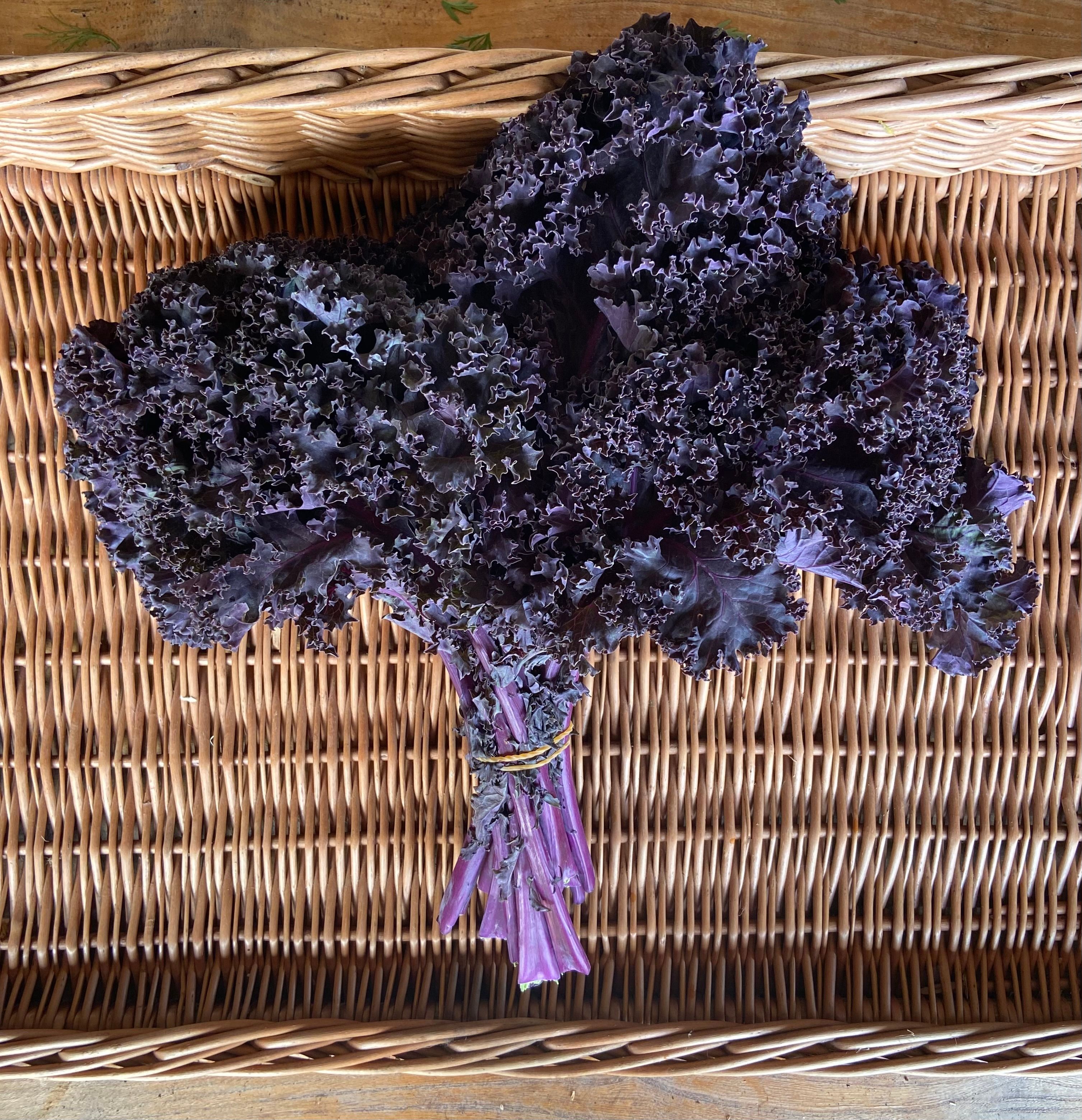 Red Curly Kale