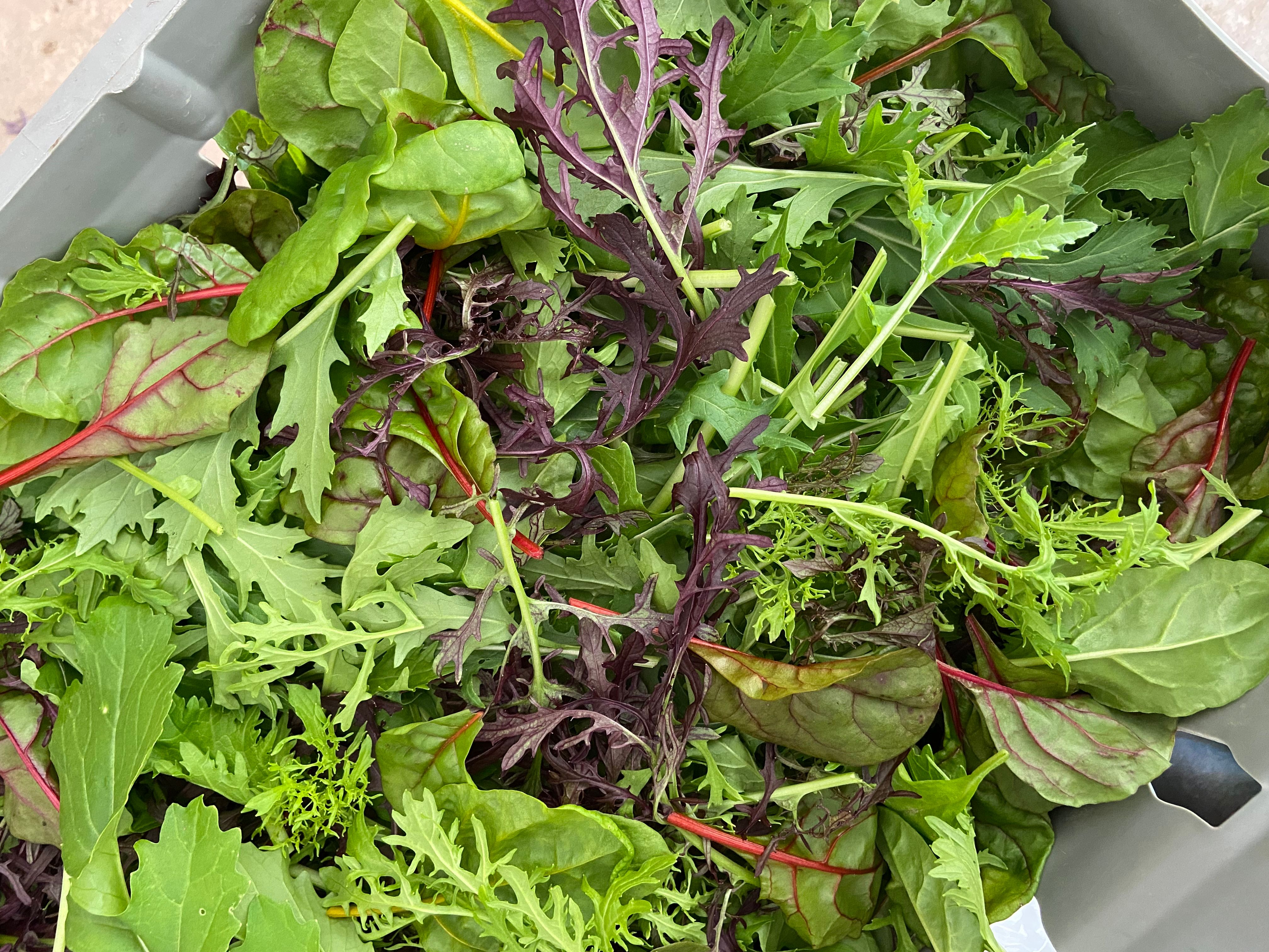 Image of Spicy Salad Bag