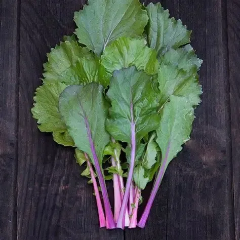 Image of Vivid Choi - 250g