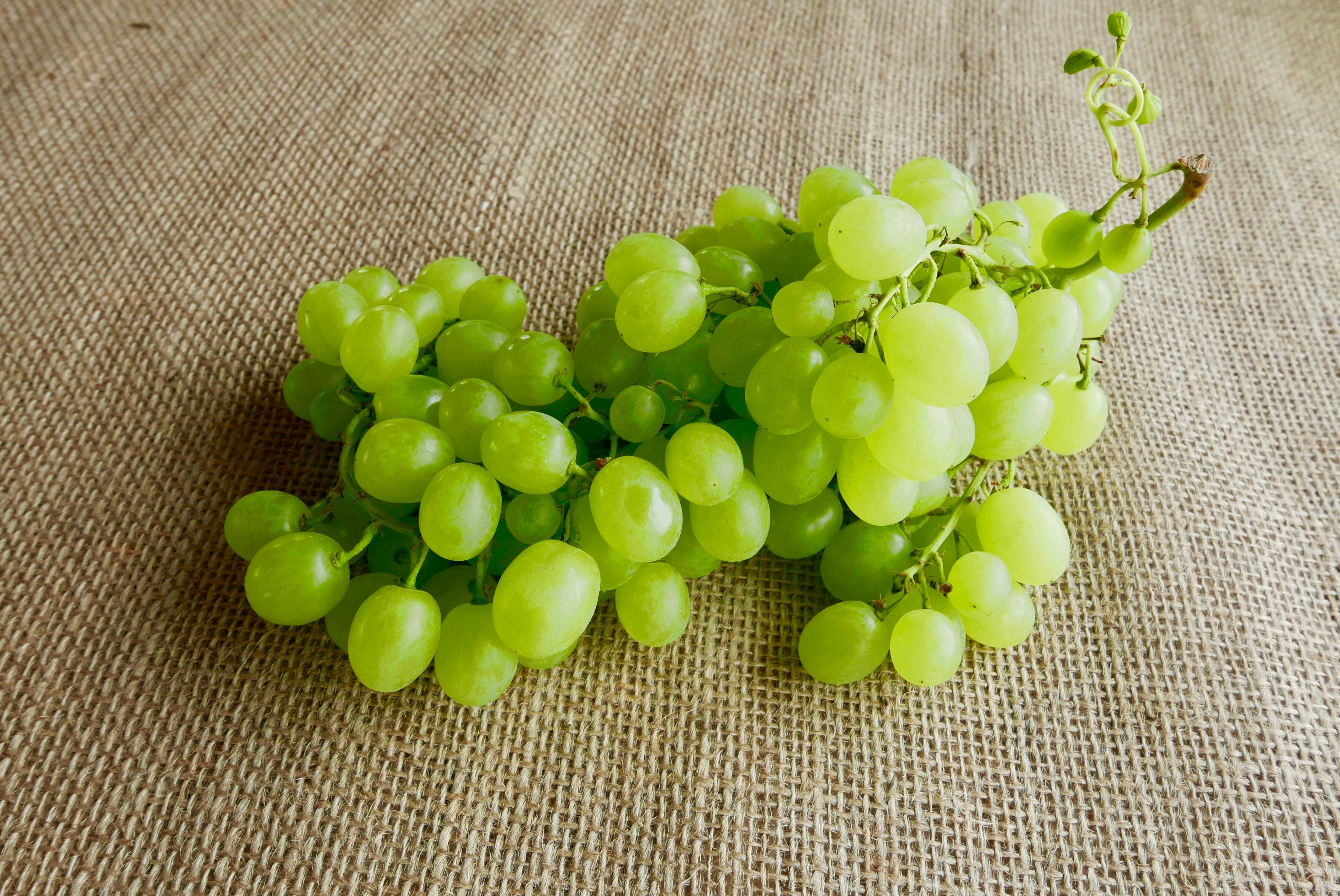 Seedless White Grapes