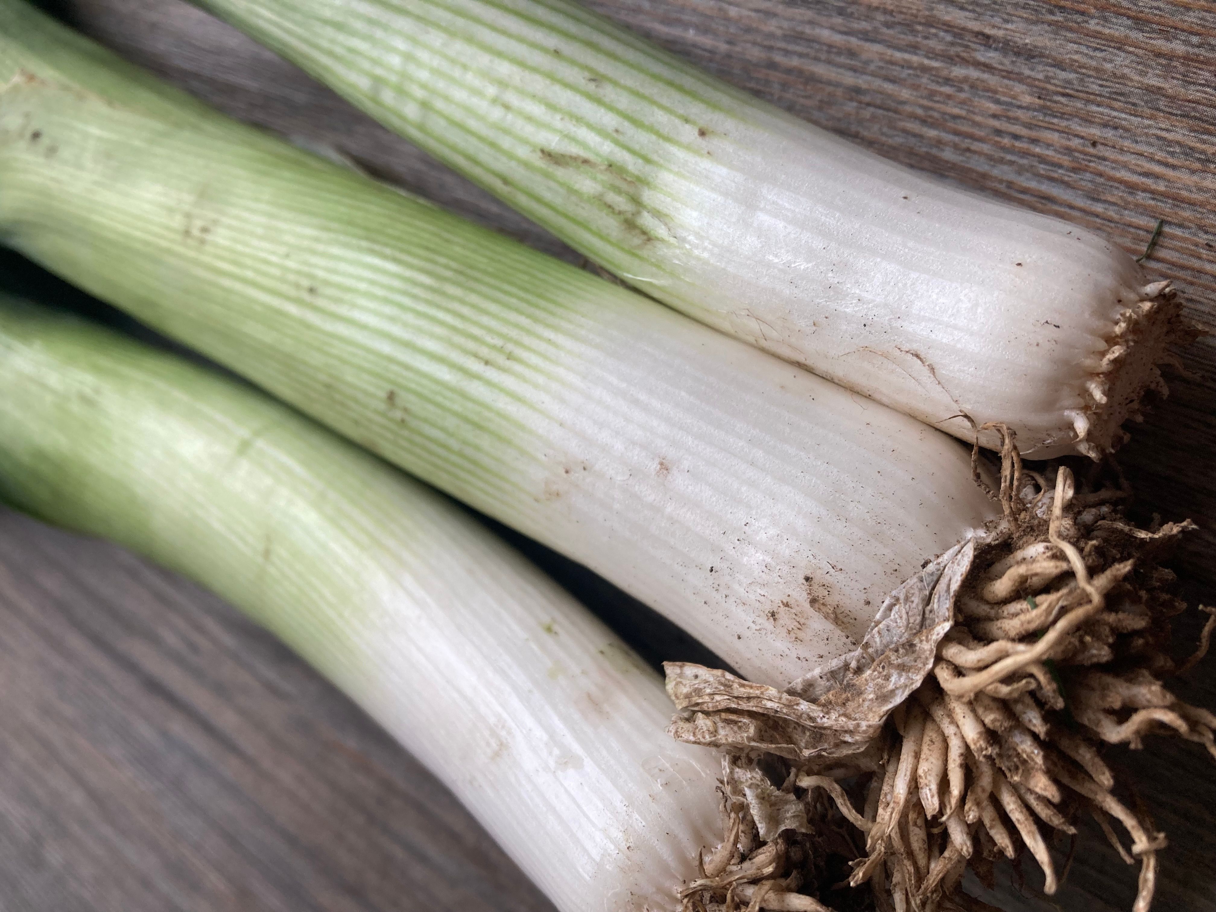 Image of Leeks (500g)