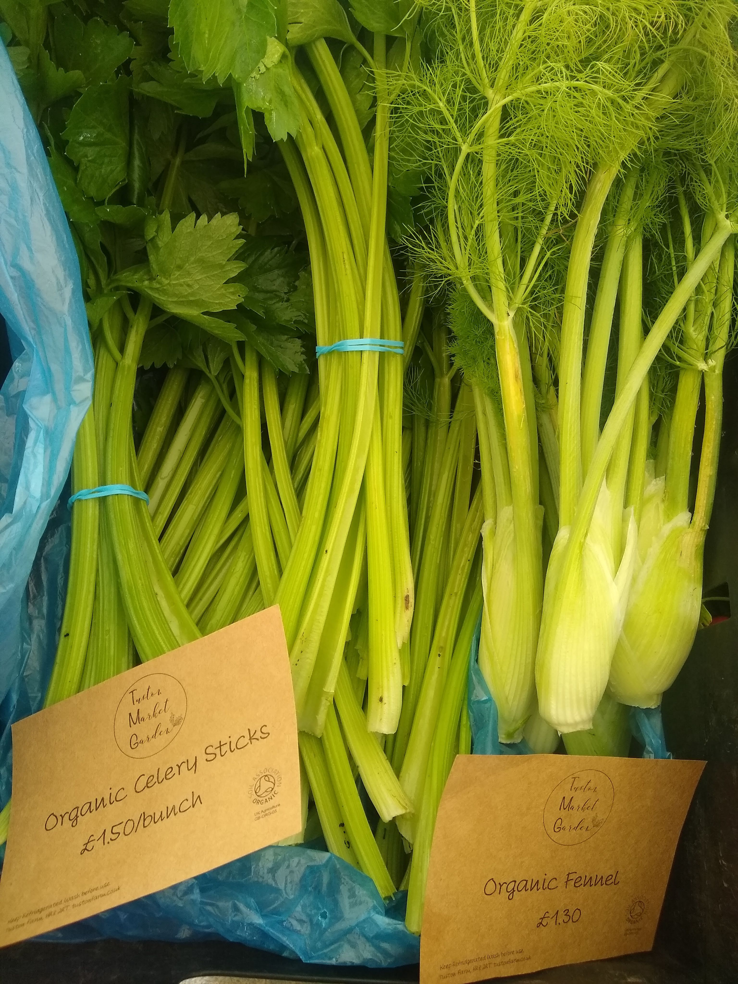 Celery