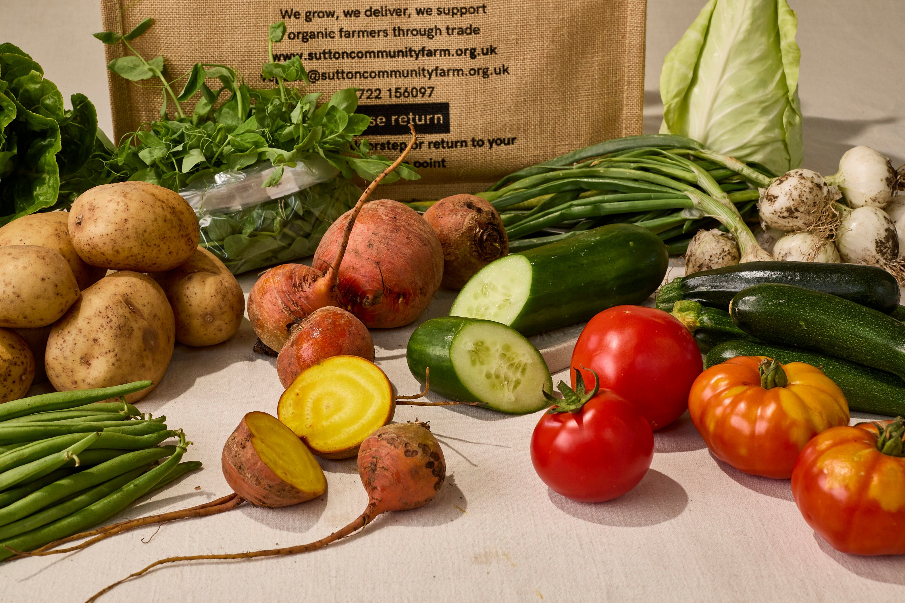 Image of Large Veg Box